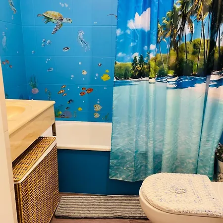 Center Side Free Paddle Beautiful Terrace