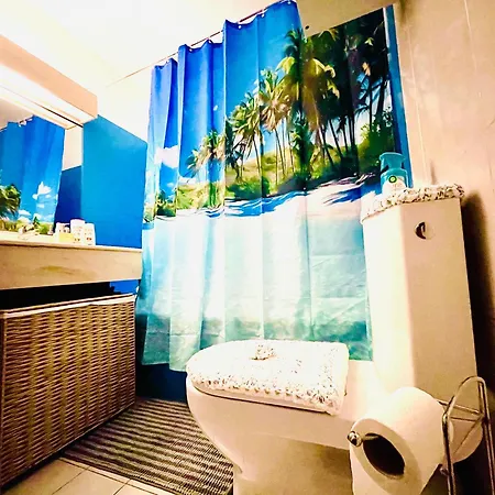 Center Side Free Paddle Beautiful Terrace