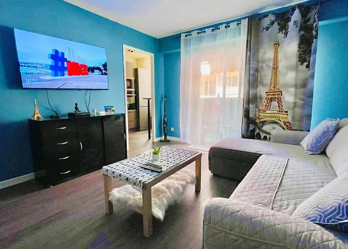 Center Side Free Paddle Beautiful Terrace Appartement Nice
